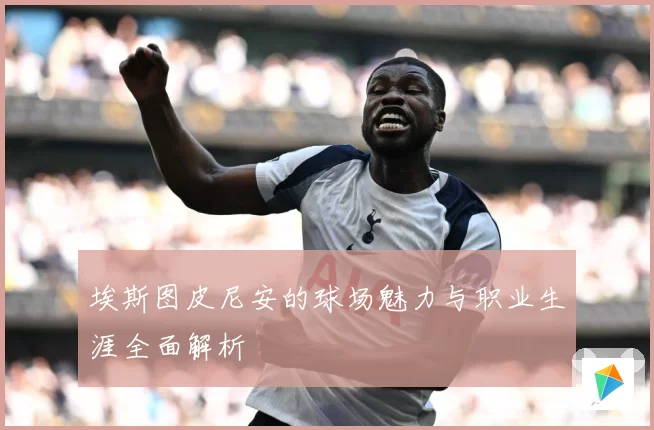 埃斯图皮尼安的球场魅力与职业生涯全面解析